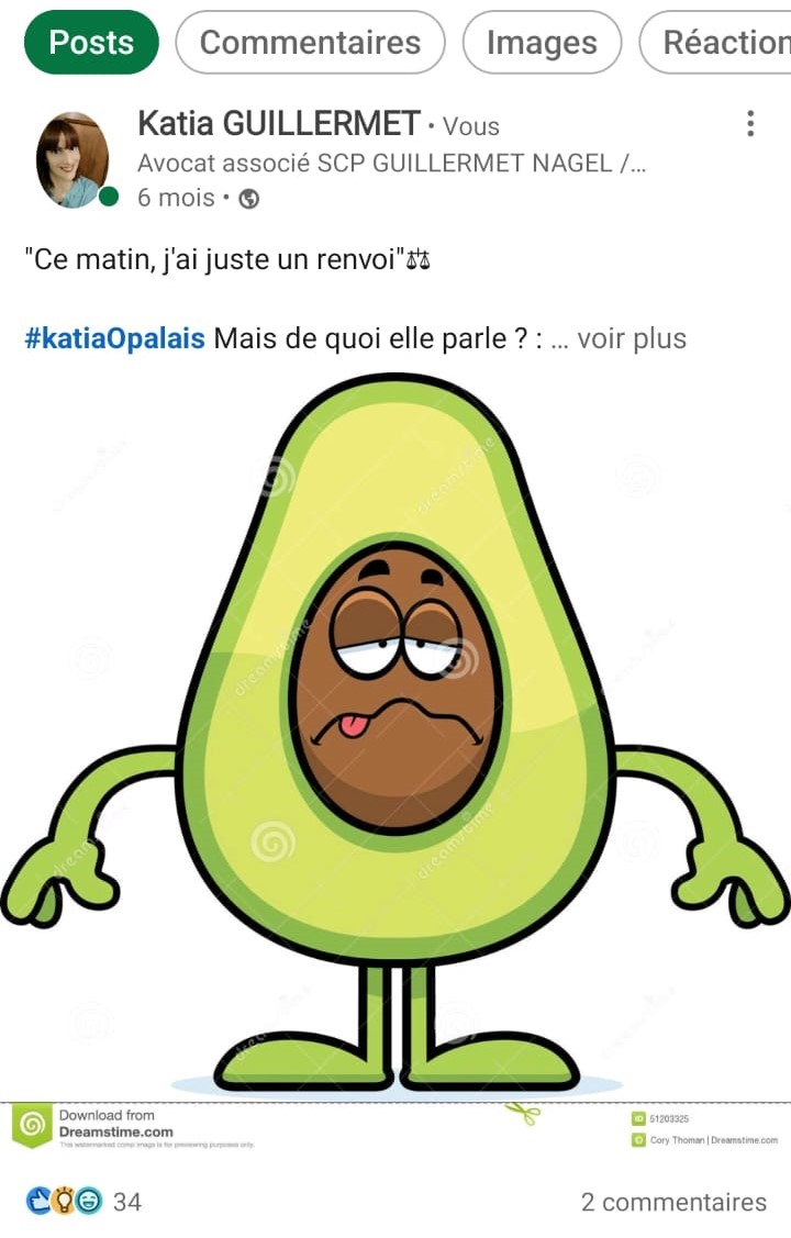 avocat lyon renvoi